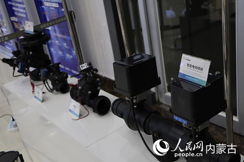 金桥双创创新集聚区产业生态共创暨科技成果对接会成功举办，聚焦技术咨询赋能产业发展